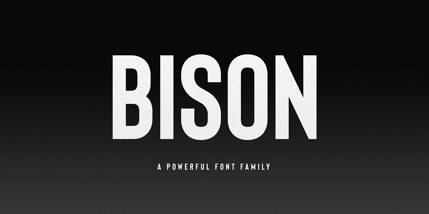 フォント Bison